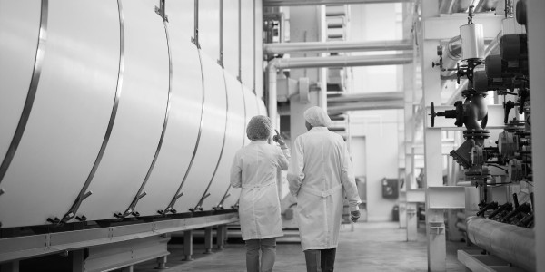 Informes Periciales La Guijarrosa · Informes Periciales de Ingeniería